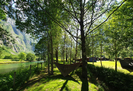 Hjem Hjem